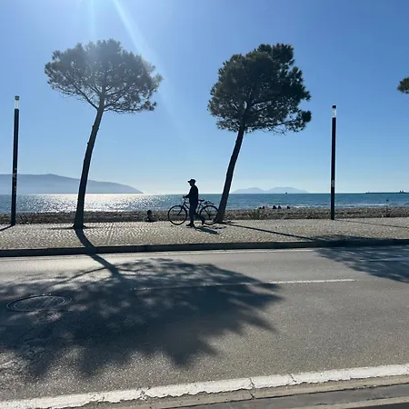Liam * Vlorë